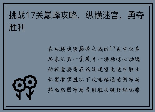 挑战17关巅峰攻略,纵横迷宫,勇夺胜利